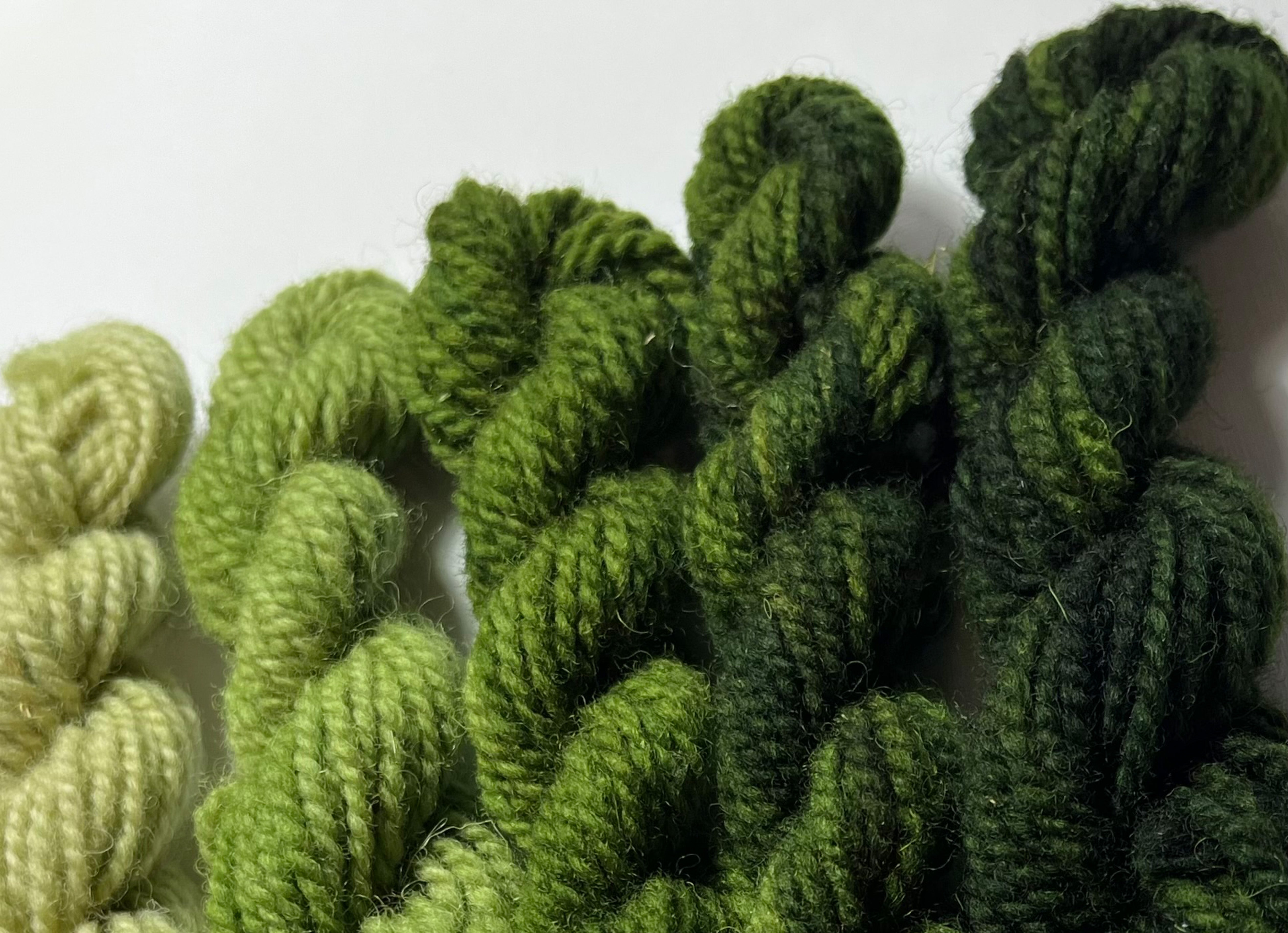 Moss Green Yarn Sampler Pack